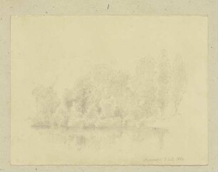 Uferlandschaft
