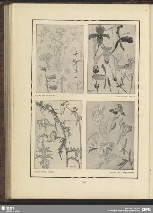 Naturstudien
