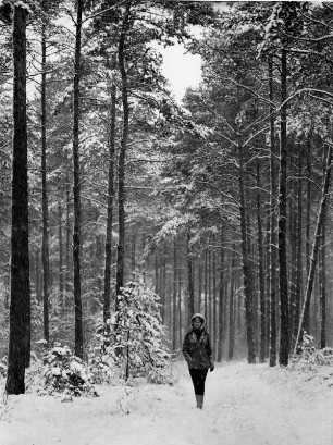 Winterwanderung durch den verschneiten Wald