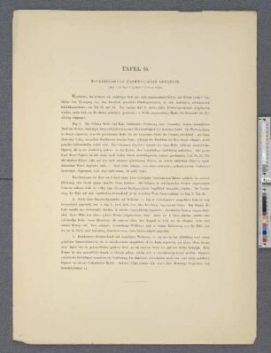 Tafel 65. Wollverzierung baumwollener Gewänder.