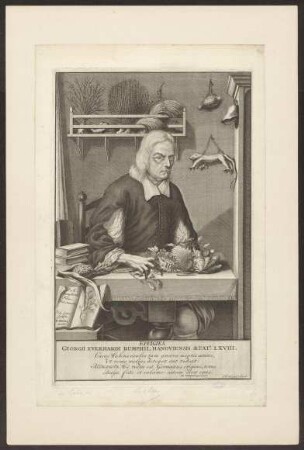 Rumpf, Georg Eberhard