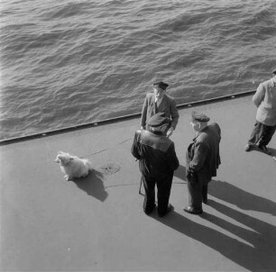 Hamburg. Hafen : Hamburg. Hafen, September 1956