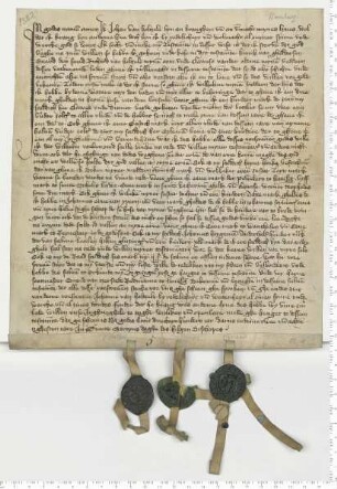 Testament des Lüneburger Bürgers Johann van Holtzele