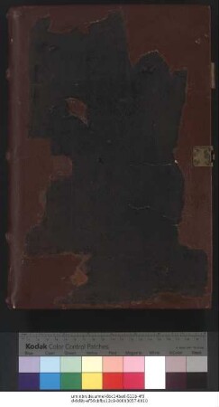 Petrus Riga. Repertorium iuris canonici