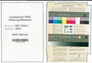 Entnazifizierung Heinrich Wolf , geb. 03.12.1897 (Polizist)