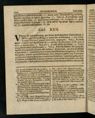 1192-1205, Cap. XXII