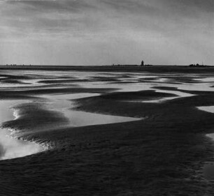 Insel Neuwerk, Watt