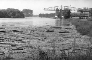 Hochwasser des Rheins