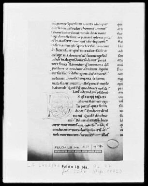 Augustinus, Enarrationes in Psalmos 51-100 — Initiale D, Folio 228 verso