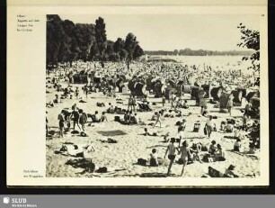 41 Badeleben am Müggelsee