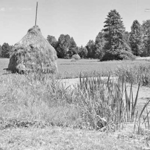Trotzkefließ in Leipe. Heuschober auf den Trotzkewiesen in Leipe. : Groble w Lipjem. Kopjenja ,,Stogi" na łuce při groblach.