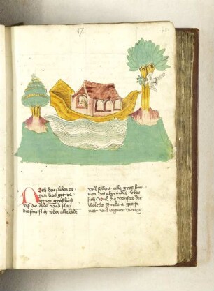 Arche Noe