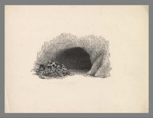 Höhle