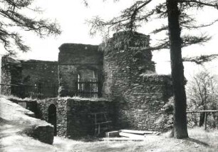 Burg Elsterberg : Elsterberg. Ruine der Burg Elsterberg. Palas mit Kellergewölben