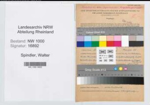 Entnazifizierung Walter Spindler, geb. 29.05.1909 (Betriebsdirektor)