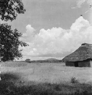 Haus : Einzel stehendes Haus in Mitten eines Feldes, im Hintergrund ein Berg