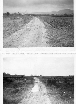 Überführung des Iffezheimer Weges in km 655,066 (BW 62) Im Hintergrund Sandweier