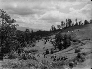 Landschaft : Eine Landschaft mit Wiesen, vermutlich ehemalige Schützengraben.