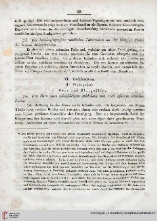 VI: Gefässystem (in Weingeist)