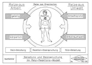 Belastung und Beanspruchung Im Reiz-Reaktions-Modell