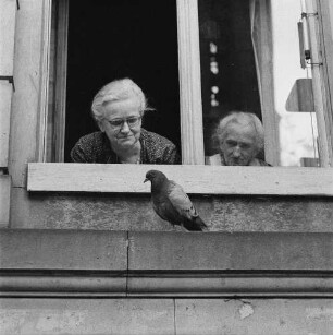 Deutsche Demokratische Republik. Osterzgebirge (bei Zinnwald-Georgenfeld). Zwei ältere Damen, aus dem Fenster ihrer Wohnung schauend, davor Taube