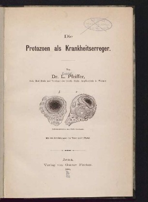 Die Protozoen als Krankheitserreger