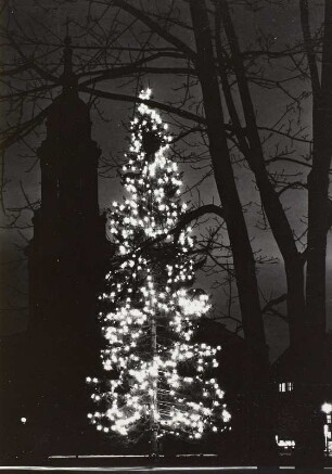 Dresden, beleuchteter Weihnachtsbaum auf dem Altmarkt
