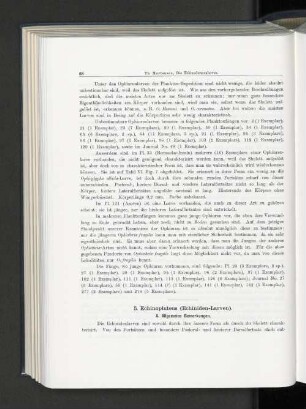 Echinopluteus (Echiniden-Larven).
