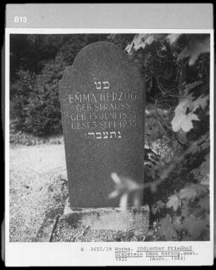 Grabstein von Emma Herzog (gestorben 1935.09.03)