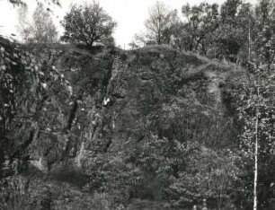 Roßwein. Augengranulit-Steinbruch Wunderburg. Wandaufschluß