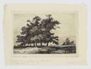Landschaft mit vier Bäumen