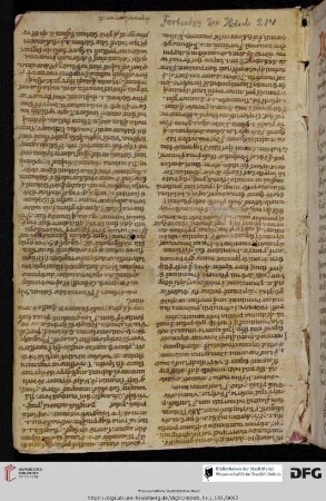 aus einer Hs. des 12./13. Jhs.: Expositio psalmorum