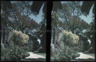 Blick auf ein Wohnhaus mit Garten in Viña del Mar