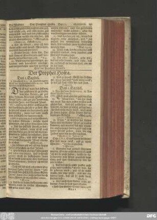 Der Prophet Hosea.