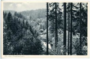 Grabentour. An der Grabentour