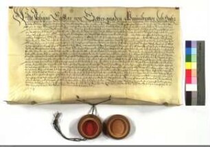 Johann Caspar, Deutschmeister, confirmiert den Komtur zu Schiffenberg, Georg Daniel v. Habel, als Statthalter der Ballei Marburg.