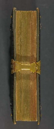 Fotoalbum der Familien Ahlswede (Dresden-Reick) und Schneidenbach : Fotoalbum der Familien Ahlsvede (Reick) und Schneidenbach. Ledereinband, geprägt mit Goldschnitt und Metallschließe; 14,7 x 11,5 x 3,5 cm (um 1890, bestückt ab 1926). Dresden: SLUB/DF 2017.A.355