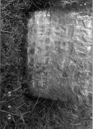 Grabstein 107 (Index: 100107330) Material: heller Sandstein Zustand: stark verwittert mit teilweisem Textverlust, bewachsen, versalzen Maße HxBxT: 82x40x10 cm Beschreibung: Stele, rechteckig mit abgerundeten Ecken: Grabstein 107A