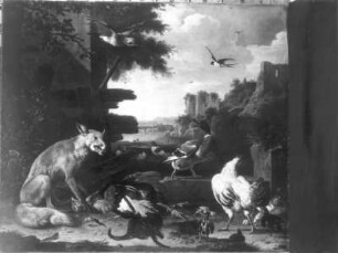 Fuchs im Hühnerhof in einer Landschaft mit Ruinen