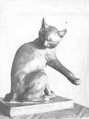 Katze, sich putzend