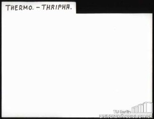 THERMO.-THRIPHA.