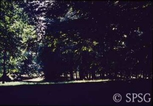 Potsdam, Park Babelsberg, Sitzplatz.
