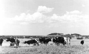 Malschwitz-Brießnitz. Blick vom Windmühlengehöft auf Baruth