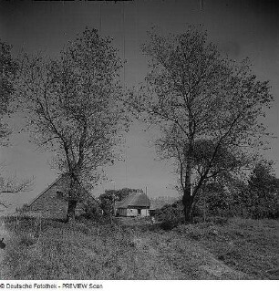 Breege. Blick auf ein Gehöft