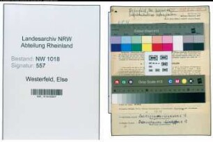 Entnazifizierung Else Westerfeld , geb. 16.10.1906 ()