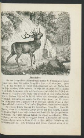 Säugethiere.