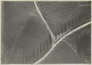 Straßengabel westlich Großnöbach (1000 m)
