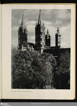 Ansicht des Domes von Südwesten (3)