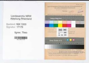 Entnazifizierung Theo Ilgner, geb. 15.05.1900 (Verw.Angest.)