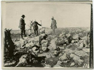 Dolmen Dscholan [Golan]